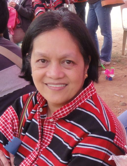 [From the web] Reclaim our Rights to Land, Resources and Ecological Sustainability – Jill&nbsp;Carino