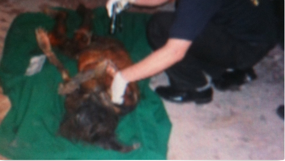 [Petition] No to cremation of medico-legal&nbsp;cases