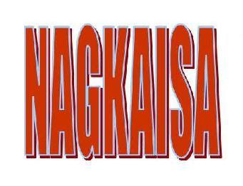 [Press Release] Workers to ‘gods of Faura’: Stop power firms’ blackmail, fraud&nbsp;-NAGKAISA