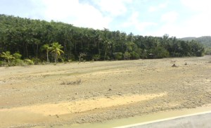 Situation of Mogpog river now in Marinduque, it is one of the few tributaries that originates from the Mogpog town's main watershed area. Mogpog has long suffered from recurring floods due to siltation caused by the collapse of Marcopper Mining Corporation's Maguilaguila siltation dam in 1993. There, the colors of the water range from peach to brown to gruesome red and toxic green or violet ending up in Tablas Strait.