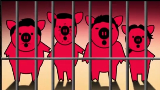 nsMImoeWFZNErxT-556x313-noPad