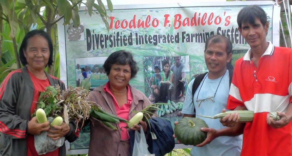 [From the web] How farmers can combat&nbsp;COVID-19?