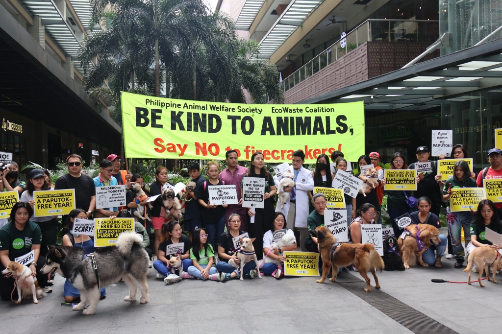 [Press Release] Groups Campaign to Protect Animals, People and the Environment from Harmful Effects of Firecrackers and&nbsp;Fireworks